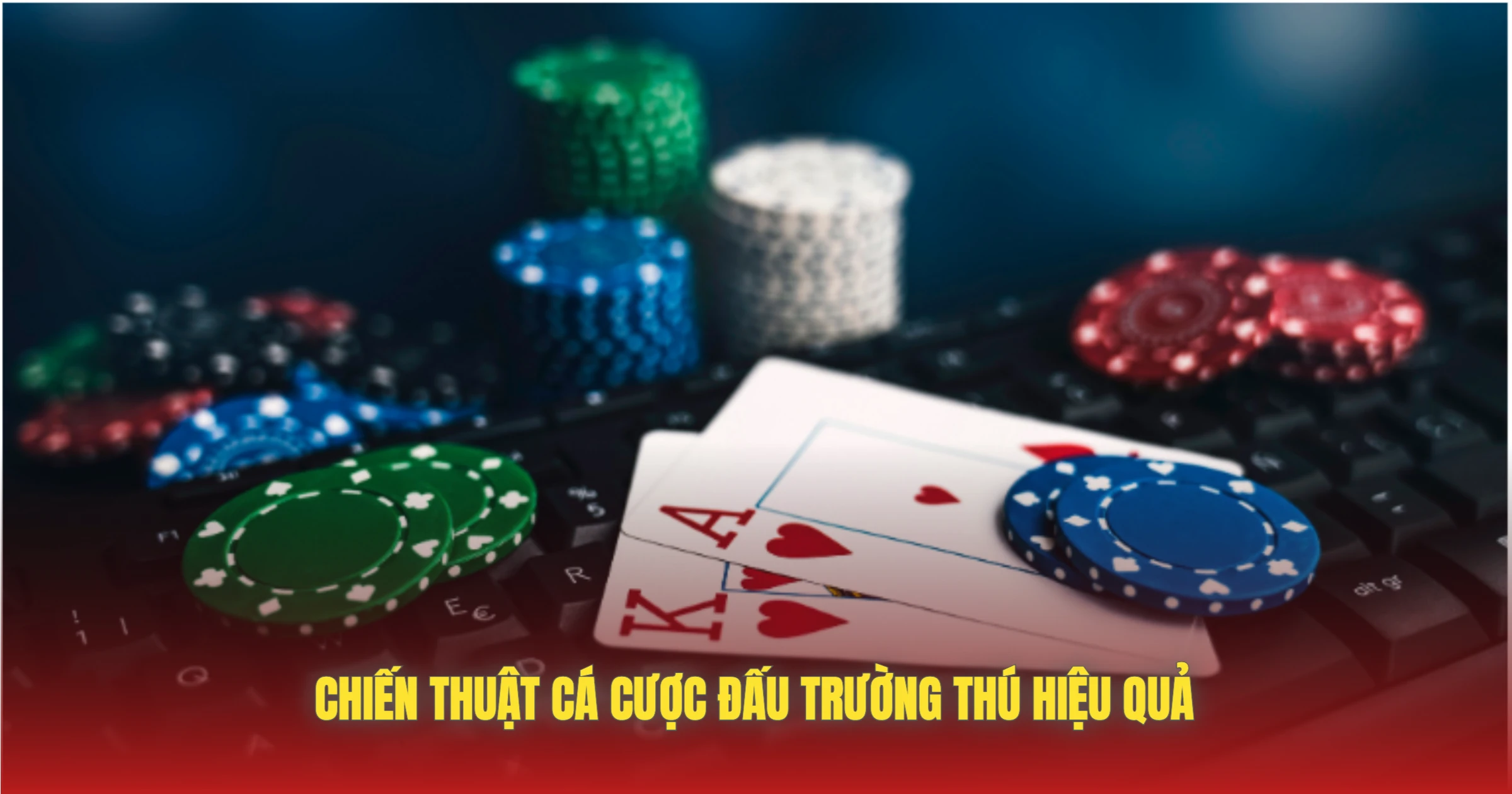 Chiến Thuật Cá Cược Đấu Trường Thú Hiệu Quả